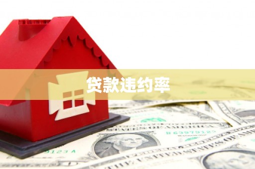 武威贷款违约率