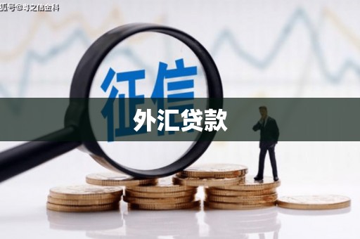 武威外汇贷款