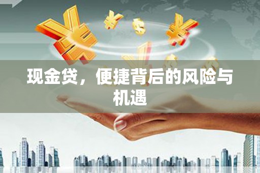 武威现金贷，便捷背后的风险与机遇