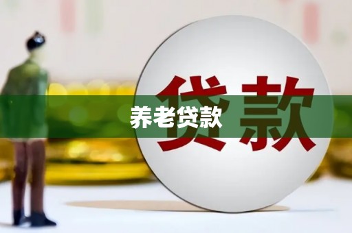 武威养老贷款