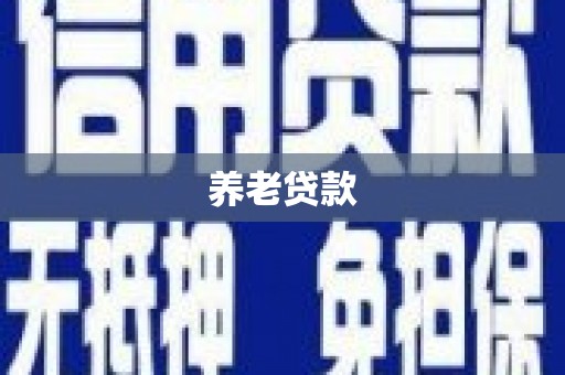 武威养老贷款