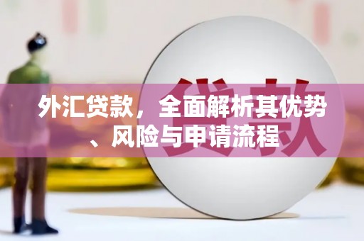 武威外汇贷款，全面解析其优势、风险与申请流程