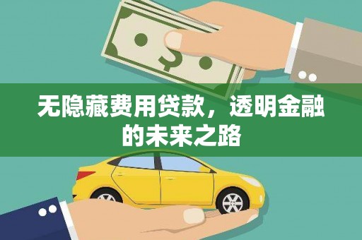 武威无隐藏费用贷款，透明金融的未来之路