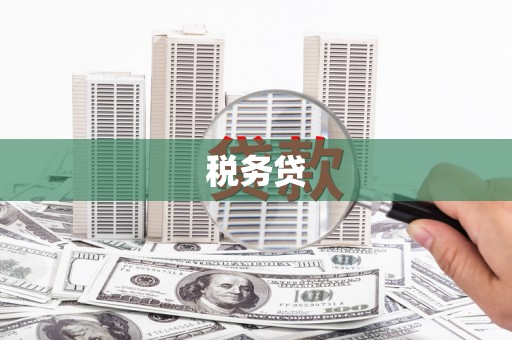 武威税务贷