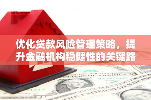 武威优化贷款风险管理策略，提升金融机构稳健性的关键路径
