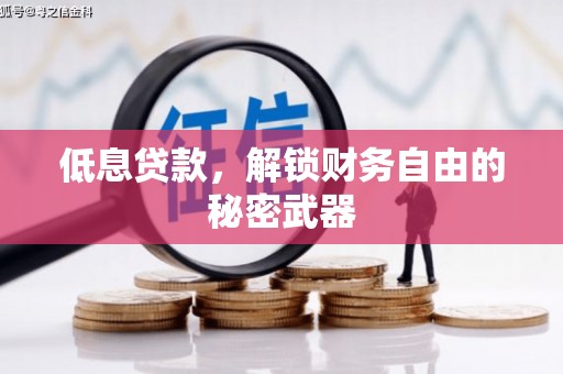 武威低息贷款，解锁财务自由的秘密武器