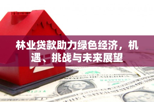 武威林业贷款助力绿色经济，机遇、挑战与未来展望