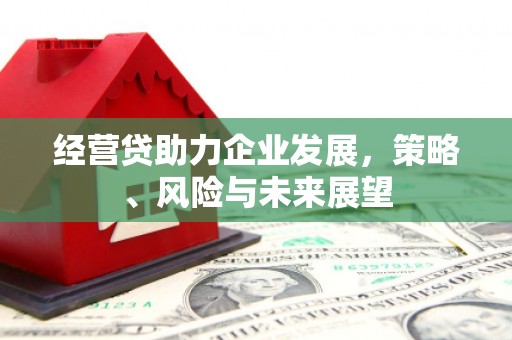 武威经营贷助力企业发展，策略、风险与未来展望
