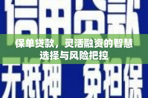 武威保单贷款，灵活融资的智慧选择与风险把控