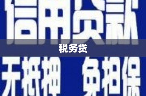 武威税务贷