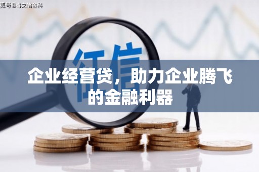 武威企业经营贷，助力企业腾飞的金融利器