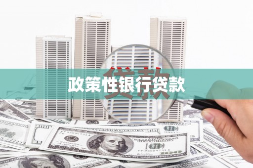 武威政策性银行贷款