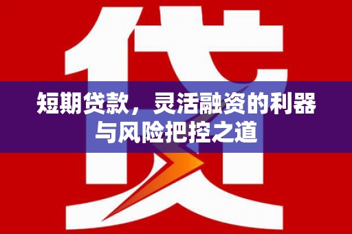武威短期贷款，灵活融资的利器与风险把控之道