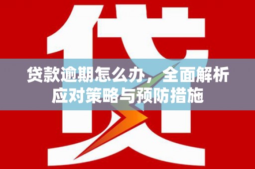 武威贷款逾期怎么办，全面解析应对策略与预防措施