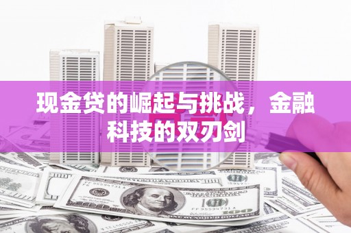 武威现金贷的崛起与挑战，金融科技的双刃剑