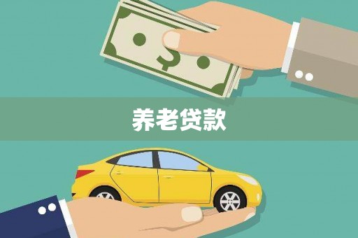 武威养老贷款