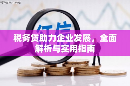 武威税务贷助力企业发展，全面解析与实用指南