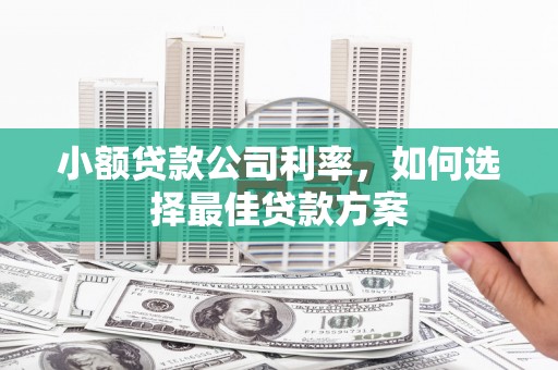 武威小额贷款公司利率，如何选择最佳贷款方案