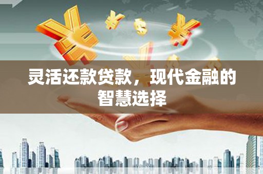 武威灵活还款贷款，现代金融的智慧选择