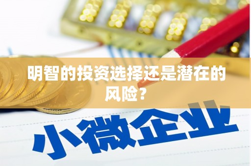 武威明智的投资选择还是潜在的风险？