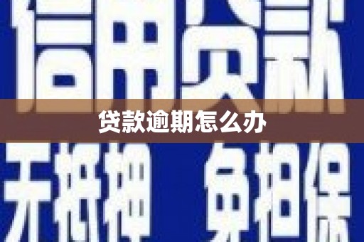 武威贷款逾期怎么办