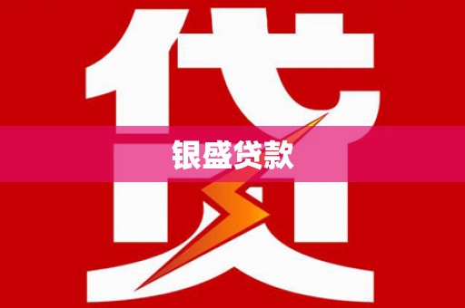 武威银盛贷款