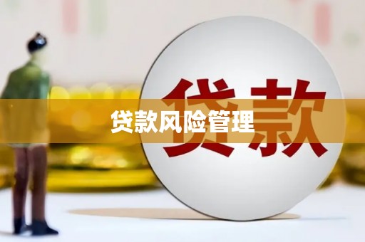 武威贷款风险管理