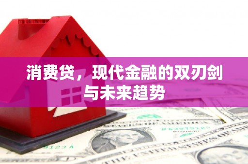 武威消费贷，现代金融的双刃剑与未来趋势