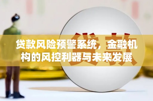 武威贷款风险预警系统，金融机构的风控利器与未来发展