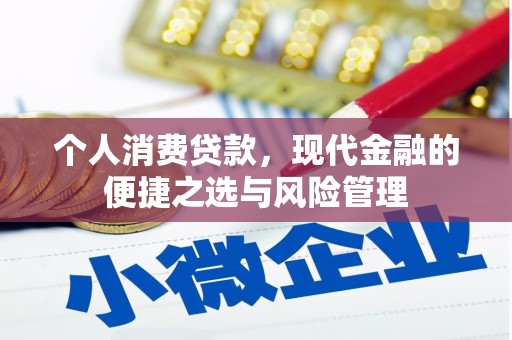 武威个人消费贷款，现代金融的便捷之选与风险管理
