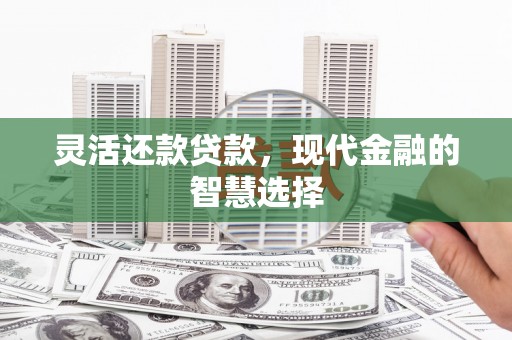 武威灵活还款贷款，现代金融的智慧选择