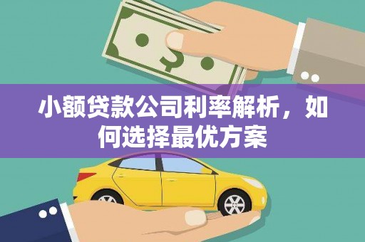 武威小额贷款公司利率解析，如何选择最优方案