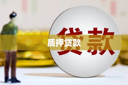 武威质押贷款