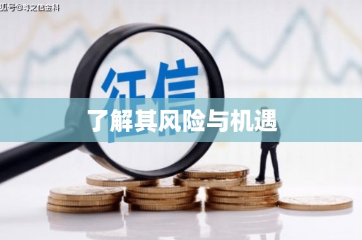 武威了解其风险与机遇