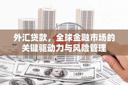 武威外汇贷款，全球金融市场的关键驱动力与风险管理