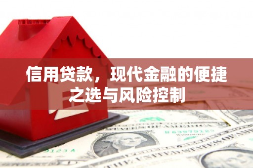 武威信用贷款，现代金融的便捷之选与风险控制