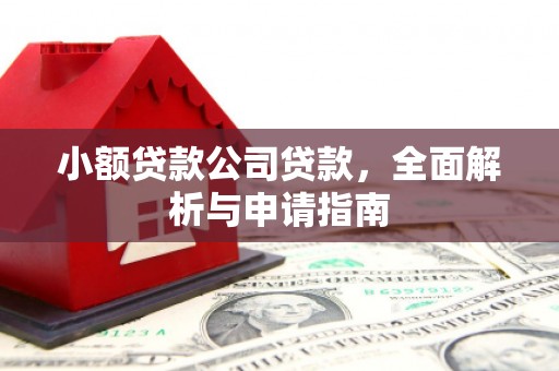武威小额贷款公司贷款，全面解析与申请指南