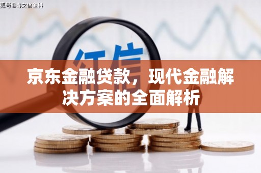 武威京东金融贷款，现代金融解决方案的全面解析