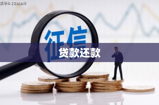 武威贷款还款