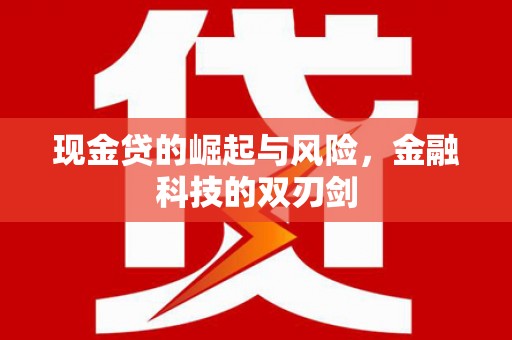 武威现金贷的崛起与风险，金融科技的双刃剑