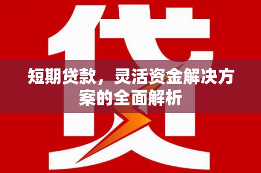 武威短期贷款，灵活资金解决方案的全面解析