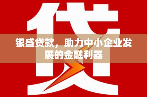 武威银盛贷款，助力中小企业发展的金融利器