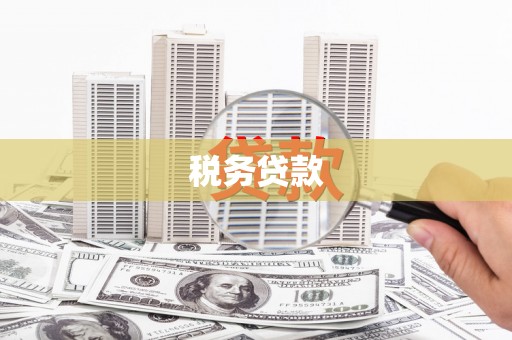 武威税务贷款