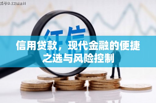 武威信用贷款，现代金融的便捷之选与风险控制