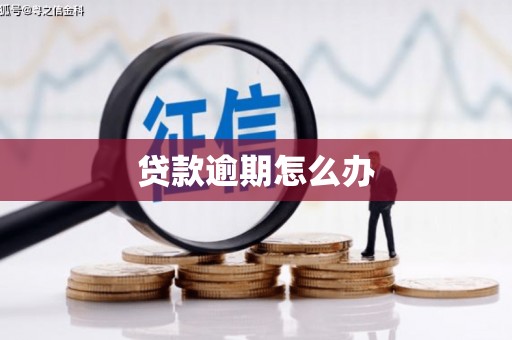 武威贷款逾期怎么办