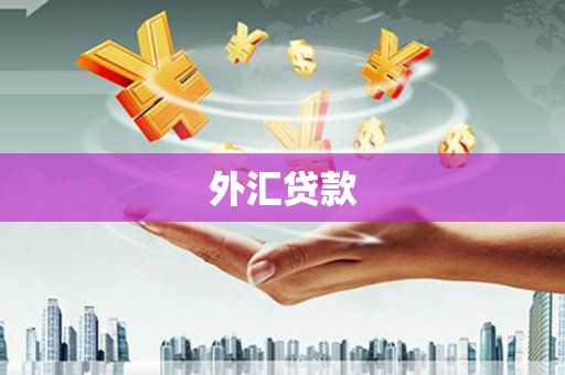 武威外汇贷款