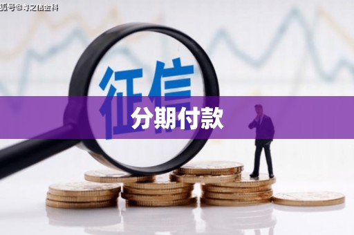 武威分期付款