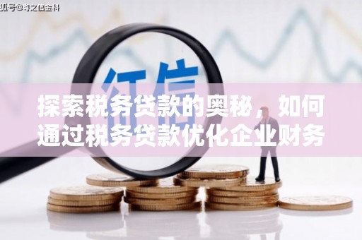 武威探索税务贷款的奥秘，如何通过税务贷款优化企业财务