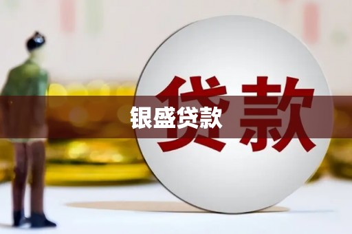 武威银盛贷款
