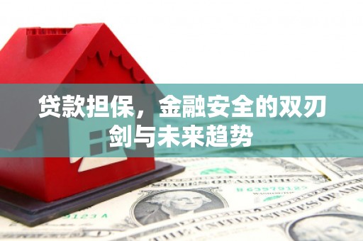 武威贷款担保，金融安全的双刃剑与未来趋势